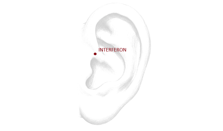 INTERFERON - akupunkturna točka na ušesu, ki uravna delovanje imunskega sistema.